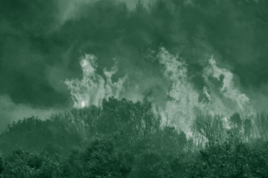 Thumbnail for Major staff losses at the U.S. Forest Service are hindering efforts to prevent wildfires